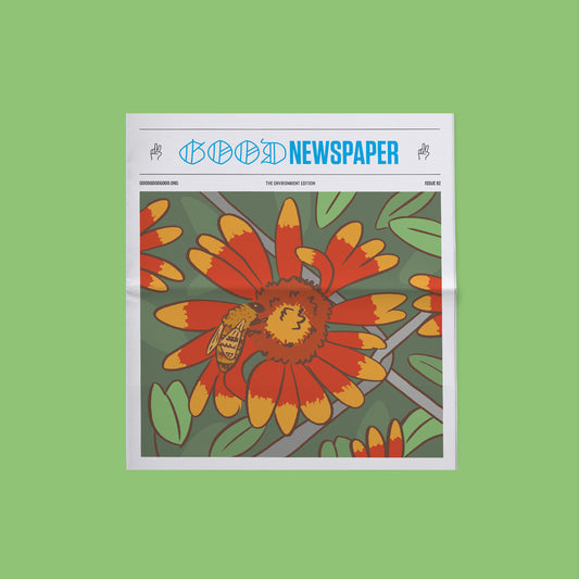 Goodnewspaper: The 2026 Environment Edition